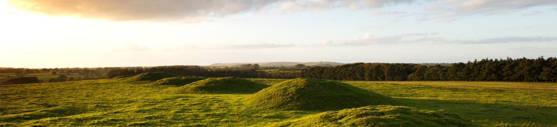 General view of five round barrows at Ashen Hill, Priddy, Wells, Somerset.