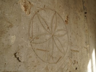 Daisy wheel design on the original plaster.