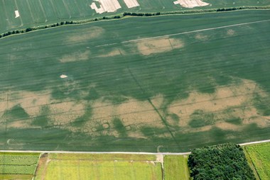 Aerial photograph of cropmarks.