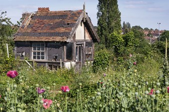 Summer house in a state of disrepair, located in Stoney Road Gardens, Coventry, surrounded by allotments and in urgent need of restoration. The house is one of a number of nationally significant group dating from 19th and early 20th century.
