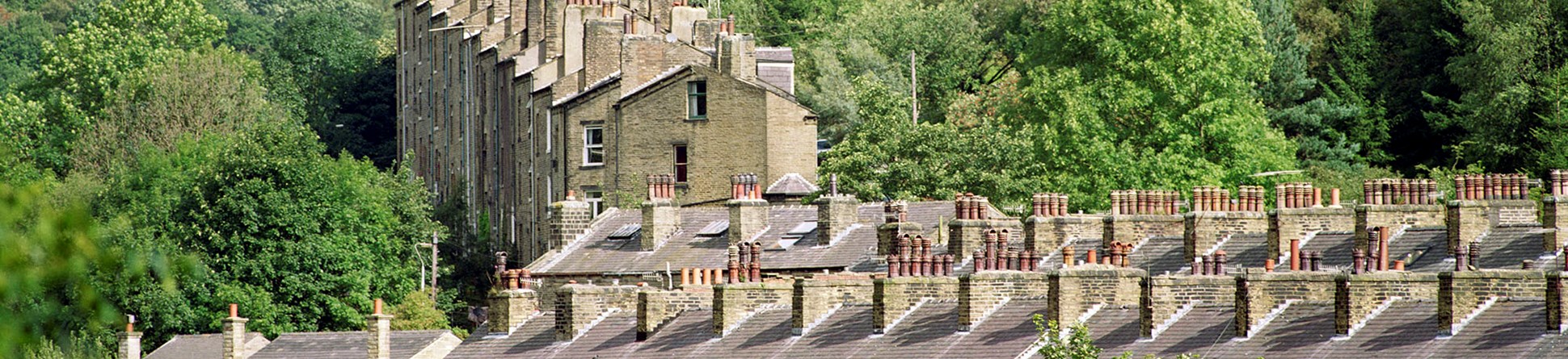 Photo of rooftops and chimneys of West Yorkshire terraced housing, nested within trees. The houses are sitting withing a small valley.
