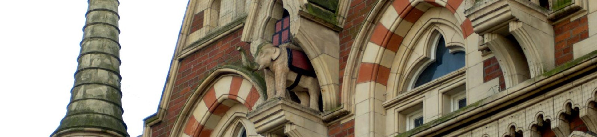 Carving of two elephants on the side of a building.