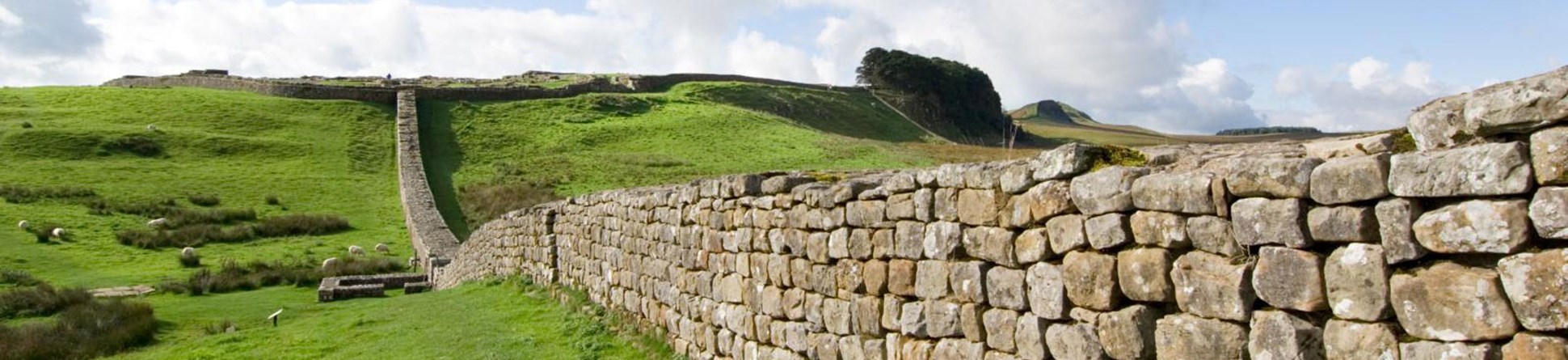 Hadrian's Wall, Northumberland. Section of wall running east over an undulating grassy landscape.
