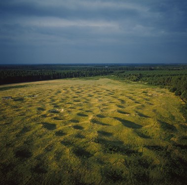 Photo of a field showing archaeological patterns.