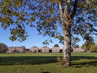 View over grounds with a tree in the foreground and redeveloped three-story housing blocks in the background.