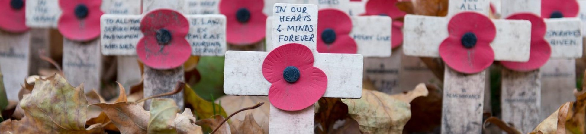 Hundreds of weathered remembrance crosses, each with a central poppy and hand-written message. Fallen autumn leaves are clustered in the foreground and visible amongst the ranks of the crosses.