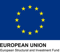 European Structural And Investment Fund Logo