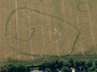 A colour aerial photograph showing cropmarks in a field.