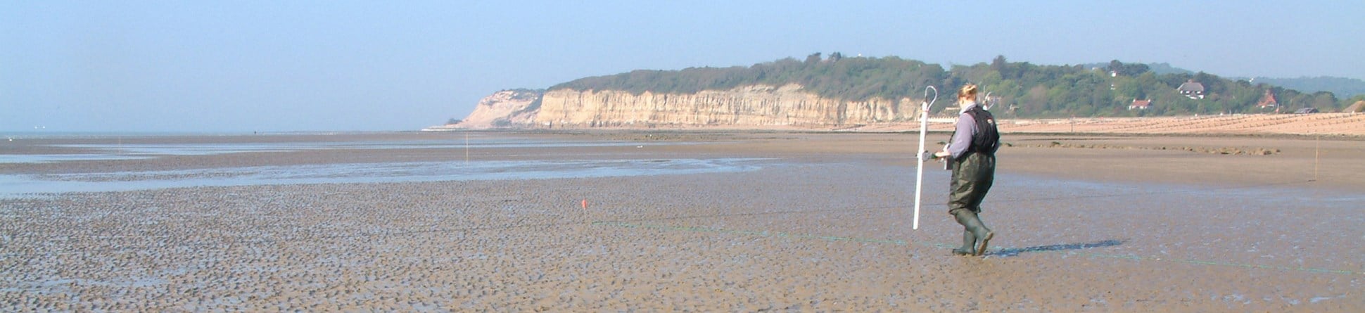 Colour photograph showing a woman in waders walking with a metal frame across a beach with low cliffs in the background