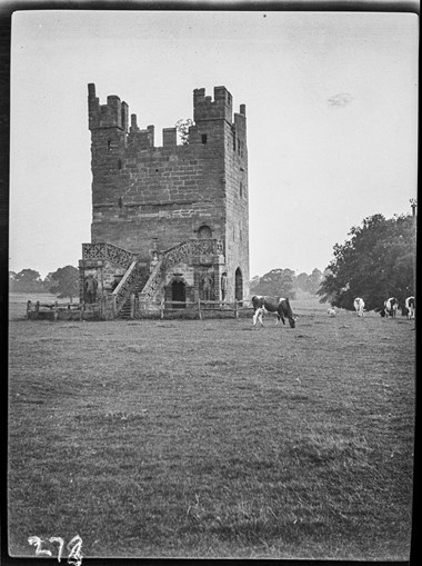 Black and white photograph of a square tower with battlements and corner turrets. The fenced tower stands in a field of cows and trees. A woman stands on the external staircase that leads to the first floor of the tower. 