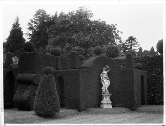 archive black and white photograph of tightly clipped yew hedging with a classical statue