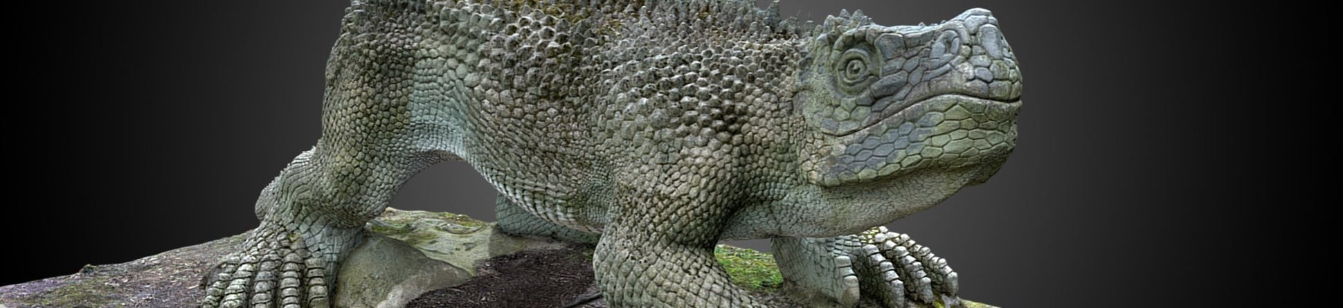 An image of a Dinosaur with scales and spikes running down its back.