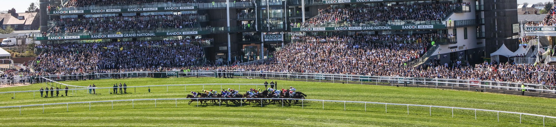 The packed stands on race day at Aintree with a tightly bunched group of horses galloping down the track in the foreground.