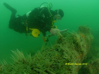 Diver recording cannon on Normans Bay. Credit Martin Davies