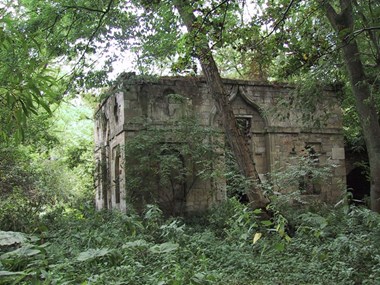 Howsham Mill covered by vegetation