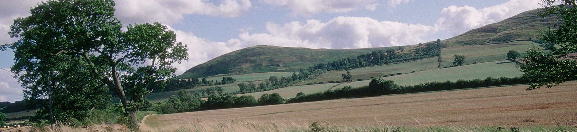 The battlefield of Homildon Hill, Northumberland