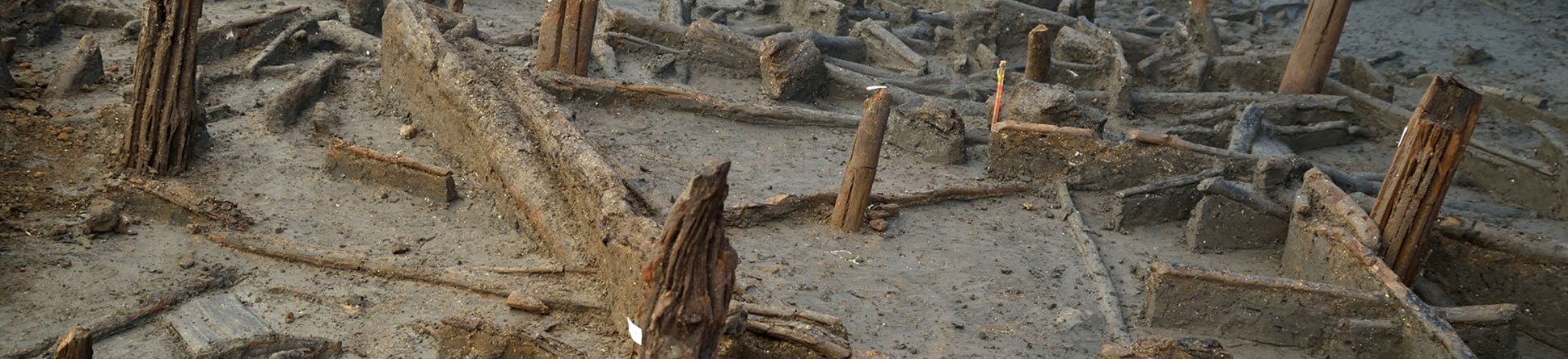 Bronze Age piles preserved within the river silts and collapsed structural timbers