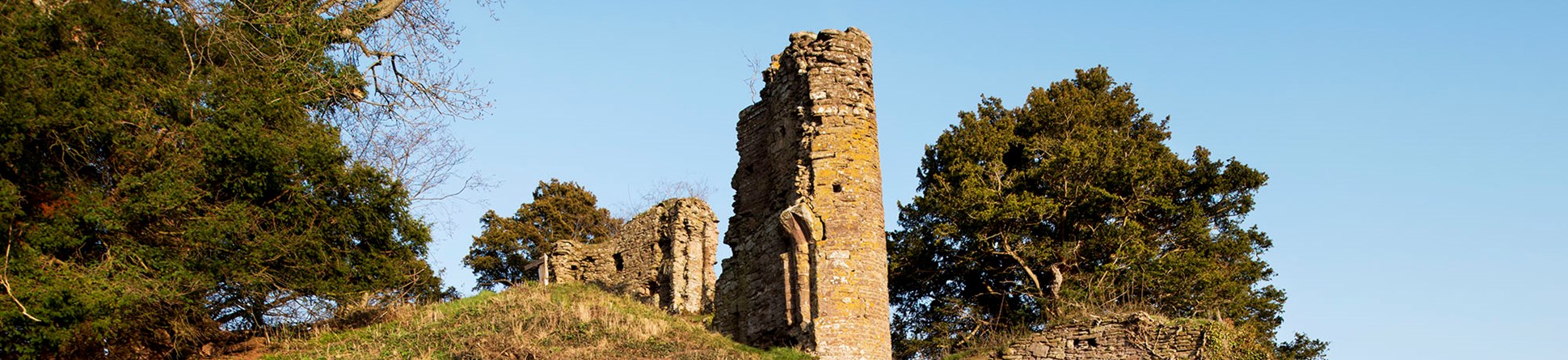 Snodhill Castle - general view of motte and keep from the north west