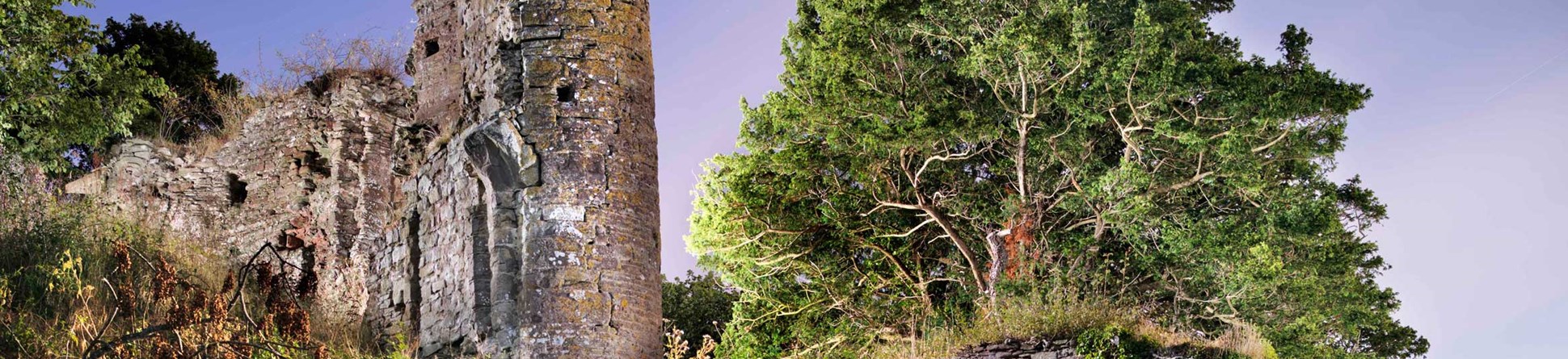 Photograph of the tower at Snodhill Castle.