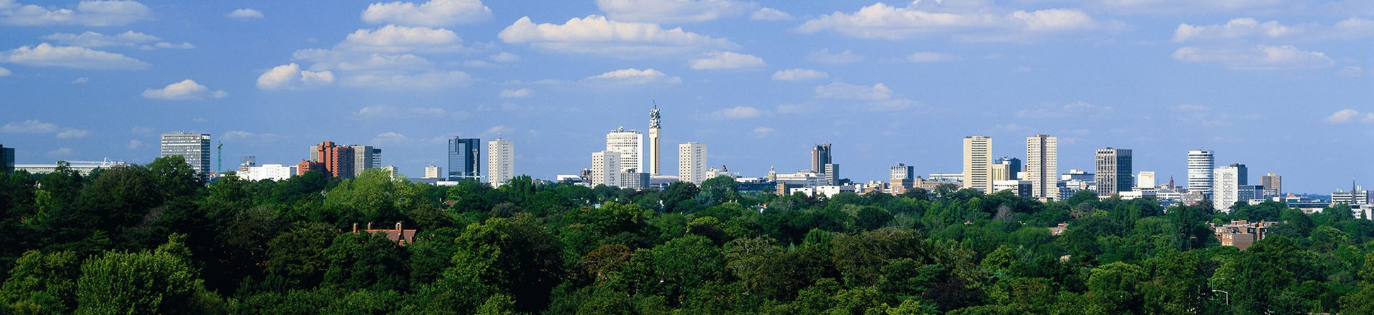 City skyline showing an extensive tree canopy in the Edgbaston Conservation Area