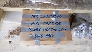 A cardboard box wrapped in silver tape with a handwritten message saying “Very fragile handle like the last dodo egg”.