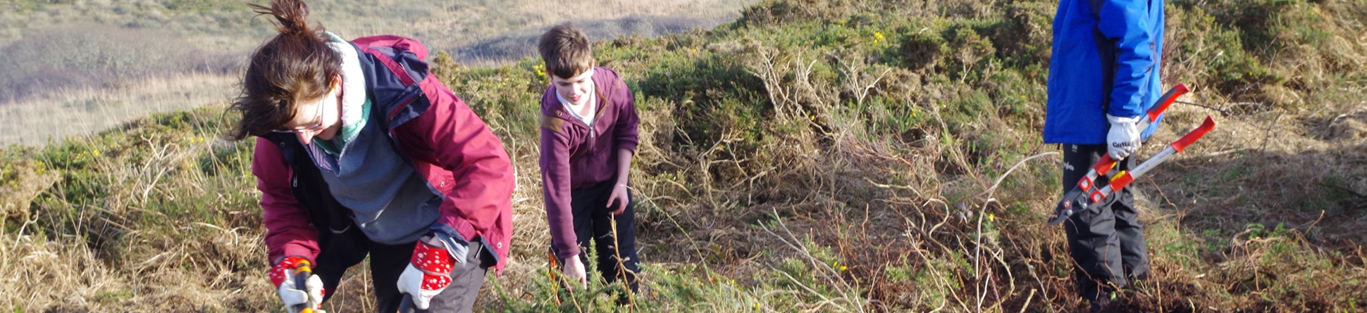 Two adults and a child clearing undergrowth using gardening tools.