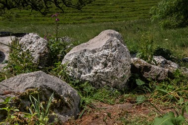 A photograph of a boulder in a landscape. It has a distinctive dished surface.
