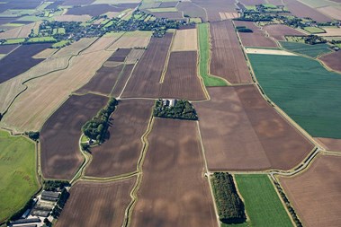 Aerial view of a patchwork of ploughed fields