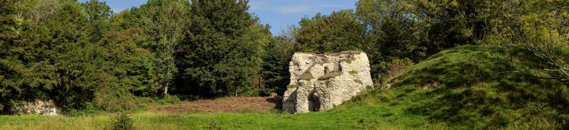 A photo of a stone ruin in a green landscape