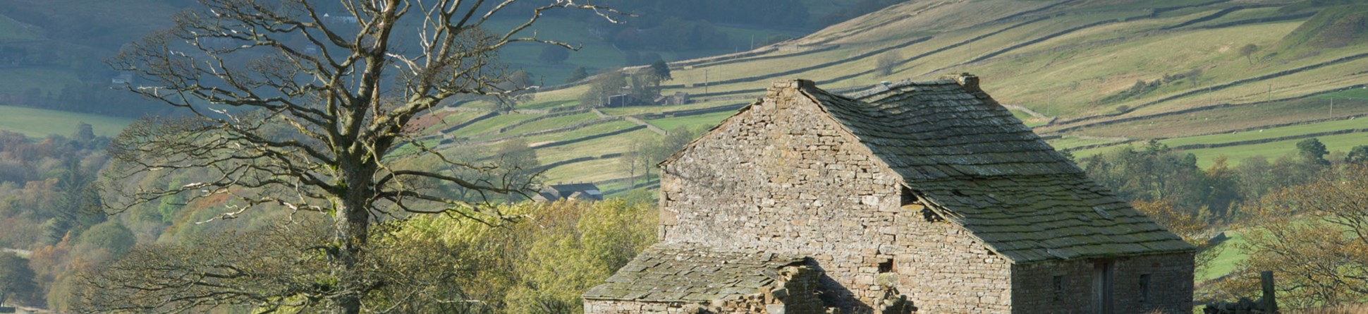 An agricultural building built of stone set in a moorland landscape is in the foreground of this photograph, in the background are  field walls clinging to hillsides.